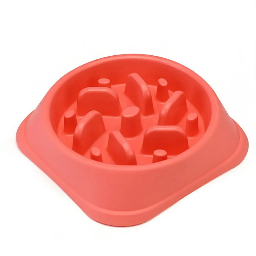 Dog Feeder Slow Eating Pet Bowl