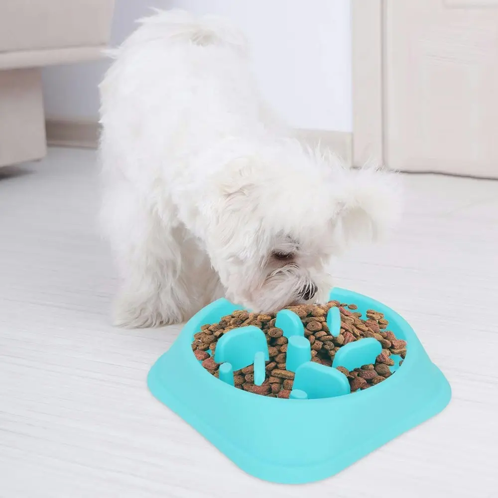 Dog Feeder Slow Eating Pet Bowl