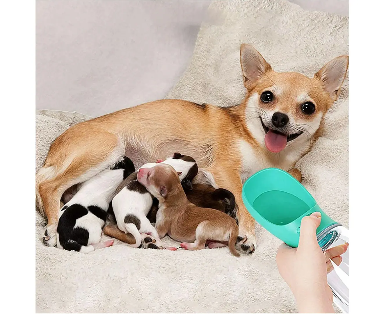 Portable Pet Water Bottles Water Dispenser Dog Water Bowl Travel Drink Cup