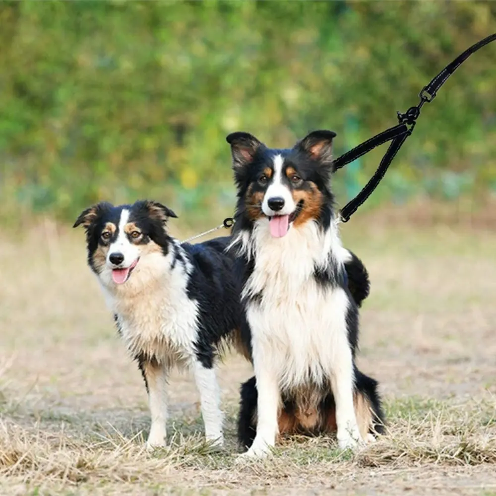 Dual Dog Leash,Double Dog Leash,Double Dog Walking & Training Leash