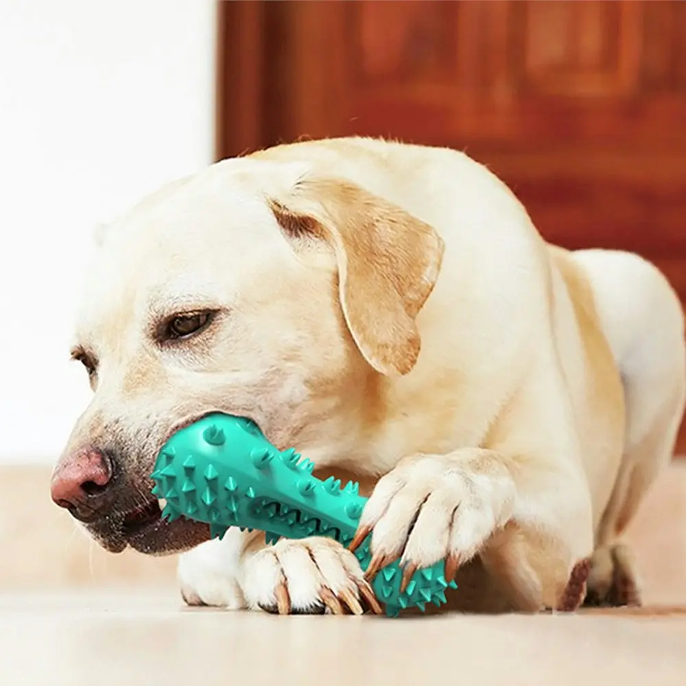 Dog Chew Toothbrush Toy - Squeaky Durable Rubber Dog Toys for Teeth Cleaning