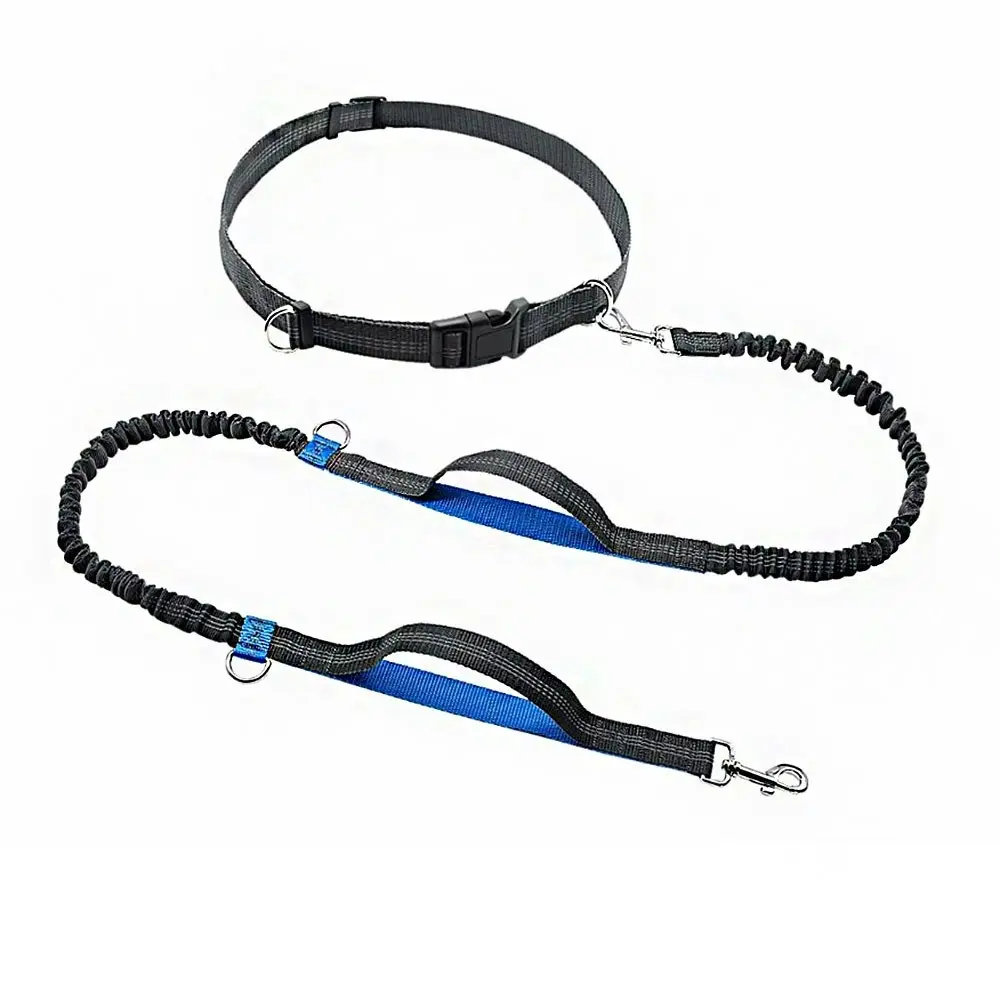 Hands Free Dog Leash Durable Dual-Handle Bungee Leash