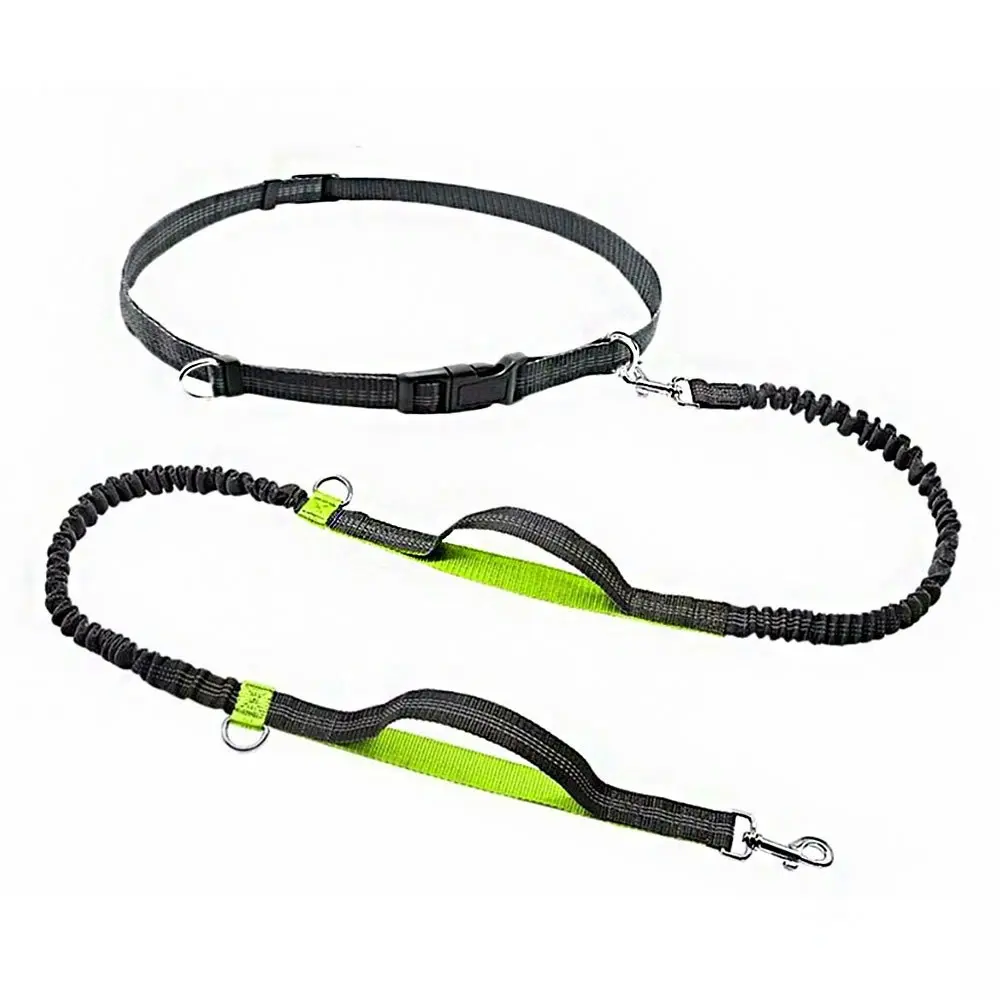 Hands Free Dog Leash Durable Dual-Handle Bungee Leash