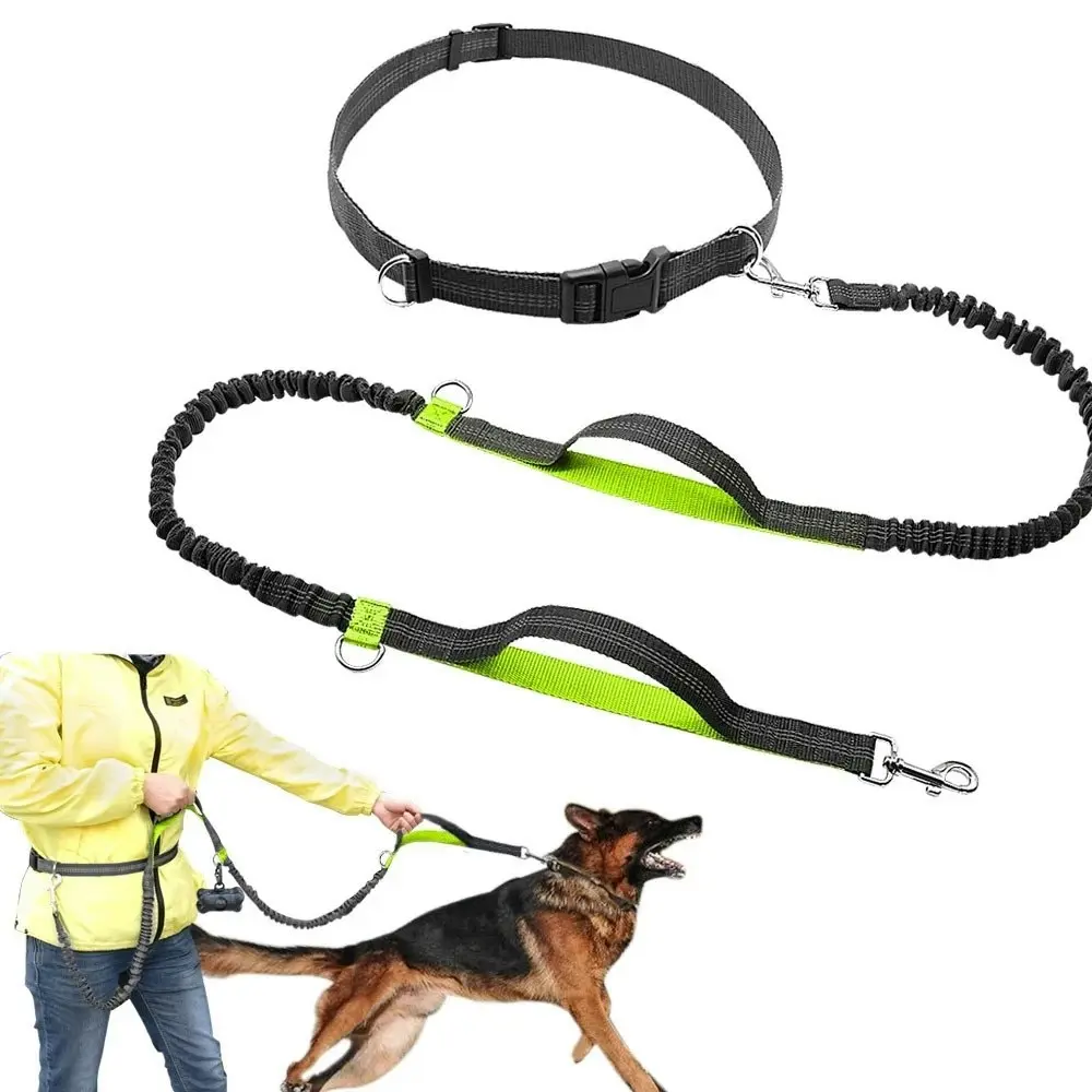 Hands Free Dog Leash Durable Dual-Handle Bungee Leash