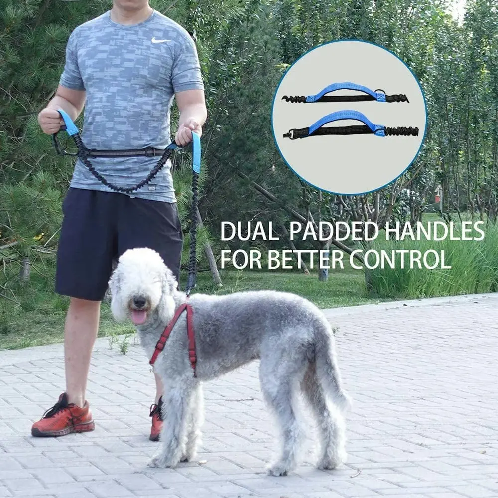 Hands Free Dog Leash Durable Dual-Handle Bungee Leash