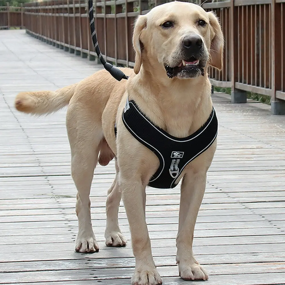 Dog Harness Step-in Breathable Puppy Harnesses for Small Medium Dogs