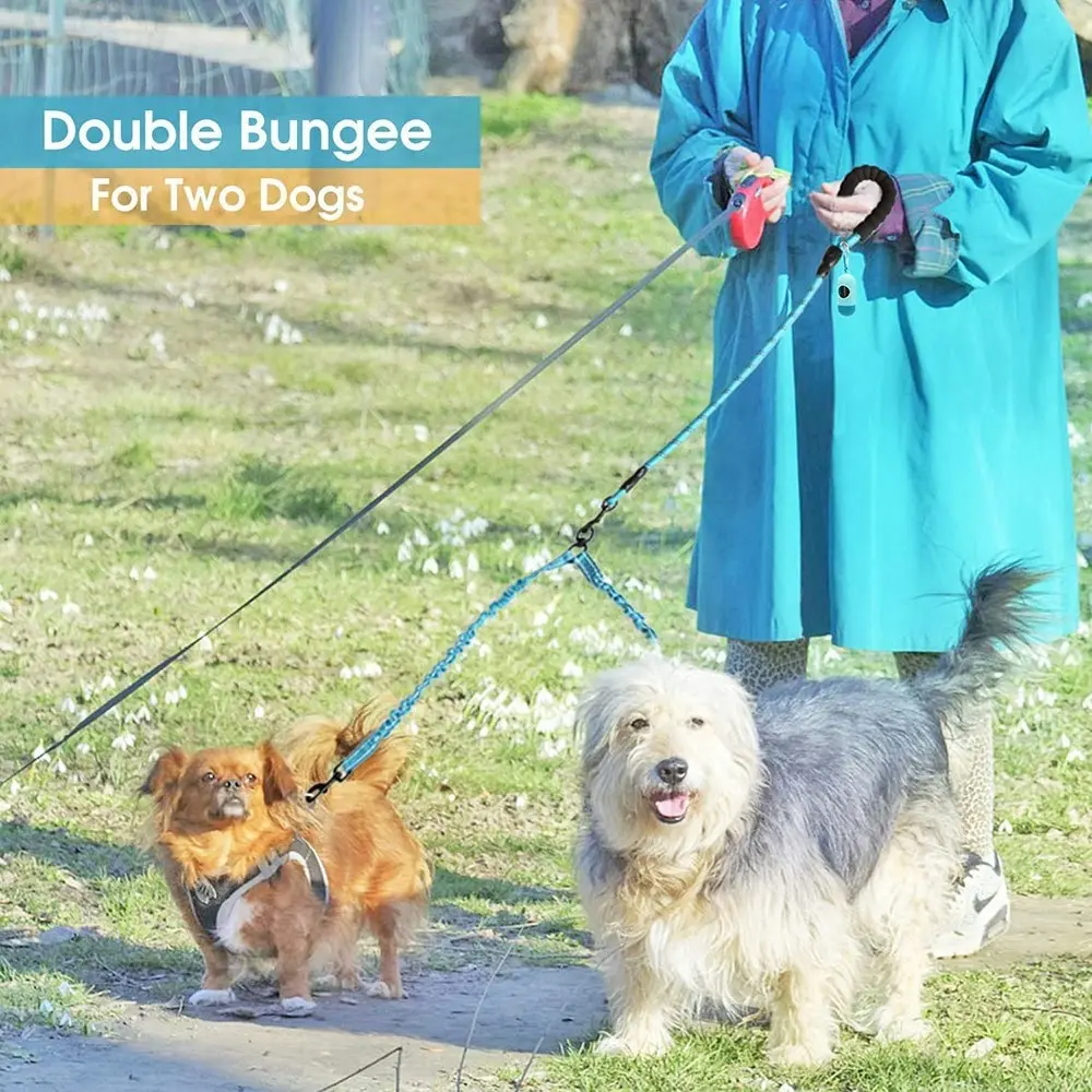 Comfortable Dual Dog Leash Tangle Free With Shock Absorbing Bungee Reflective