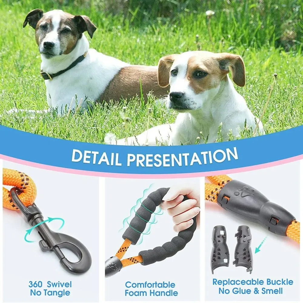 Comfortable Dual Dog Leash Tangle Free With Shock Absorbing Bungee Reflective