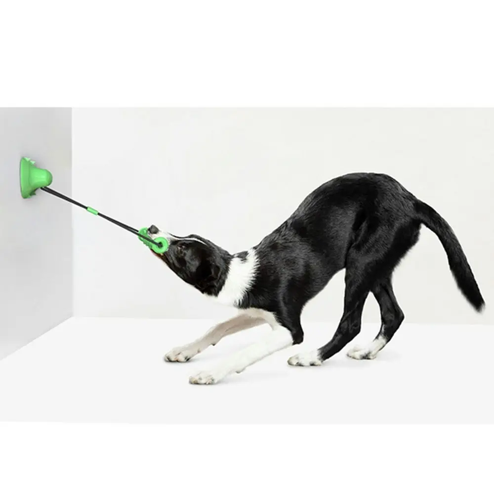 Pet Double Suction Cup Molar Bite Toy, Dog Chew Toys, Dog Toy