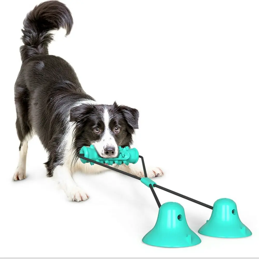 Pet Double Suction Cup Molar Bite Toy, Dog Chew Toys, Dog Toy