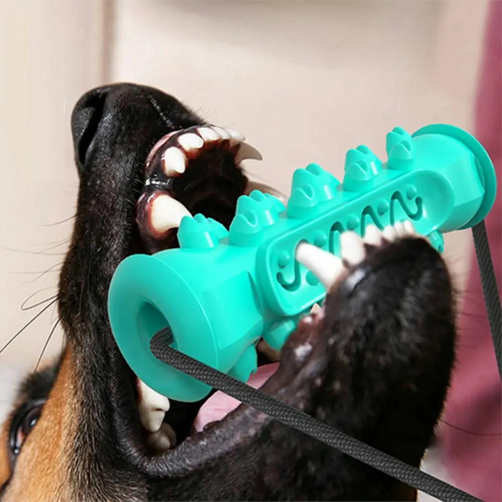 Pet Double Suction Cup Molar Bite Toy, Dog Chew Toys, Dog Toy