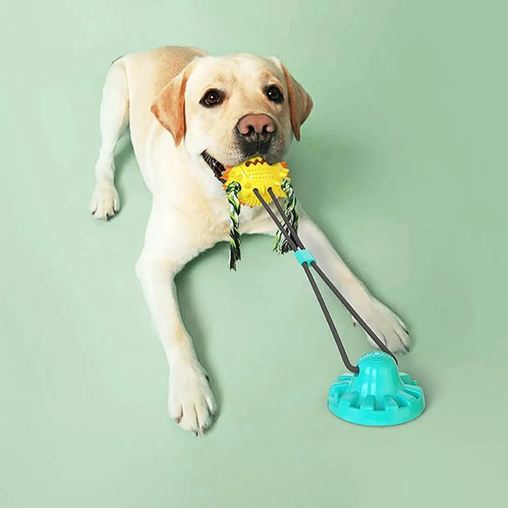 Multifunctional Suction Cup Dog chew Educational Toy Interactive Cleaning