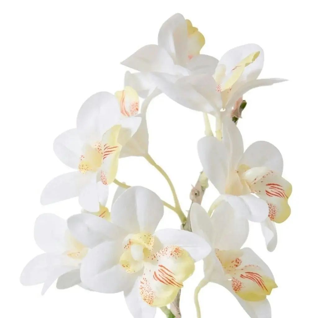 Elme Cymbidium Hybrid Dimple Pot - White/White - 28x28x48cm