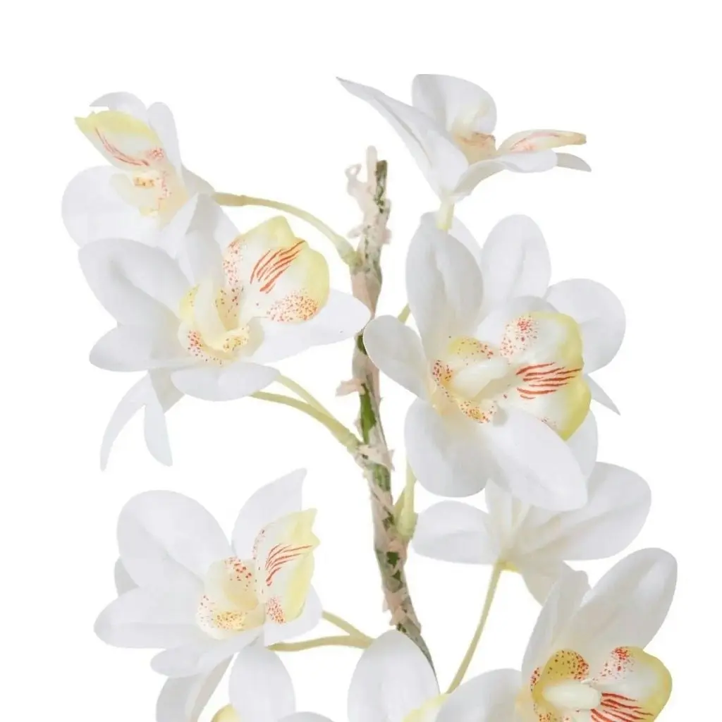 Elme Cymbidium Hybrid Dimple Pot - White/White - 32x32x54cm