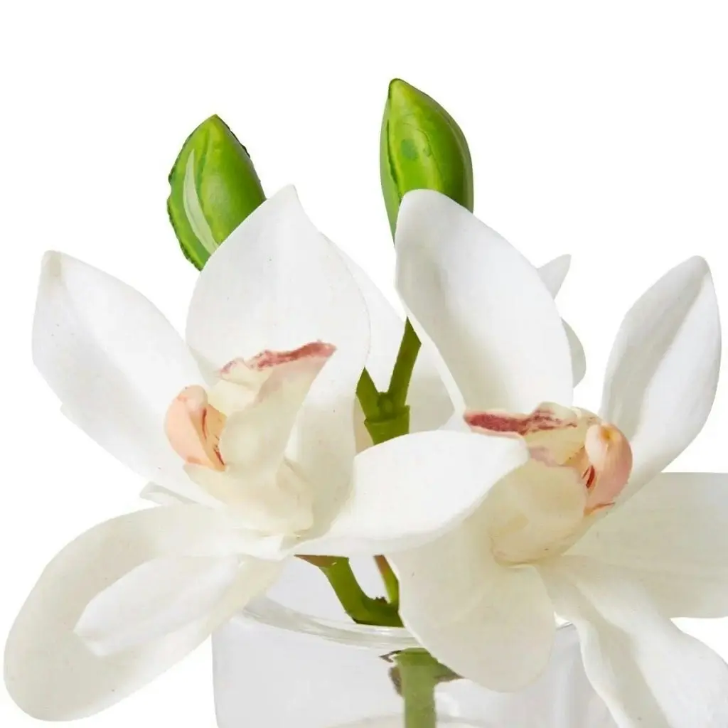 Elme Cymbidium Orchid in Vase - White - 15x8x15cm