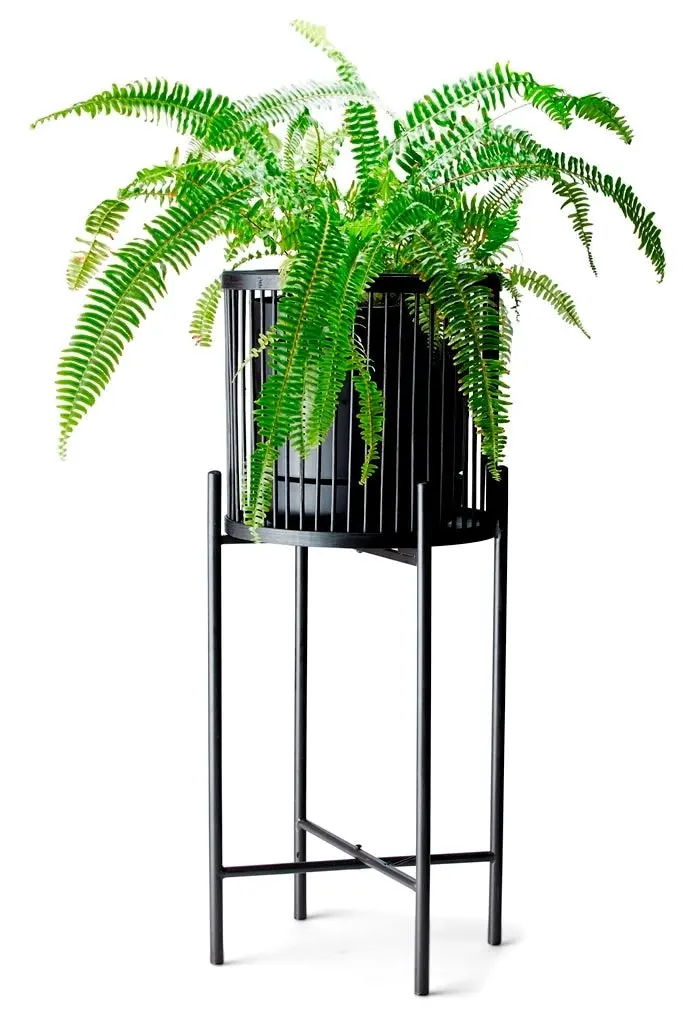 Salt&Pepper Rhythm Plant Stand Black 35x80cm