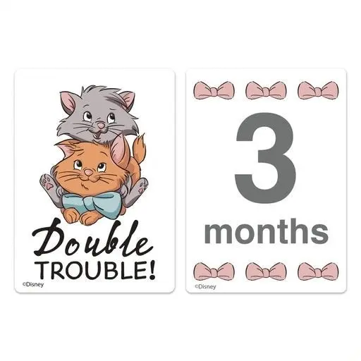 Disney Baby Aristocats Milestone Cards