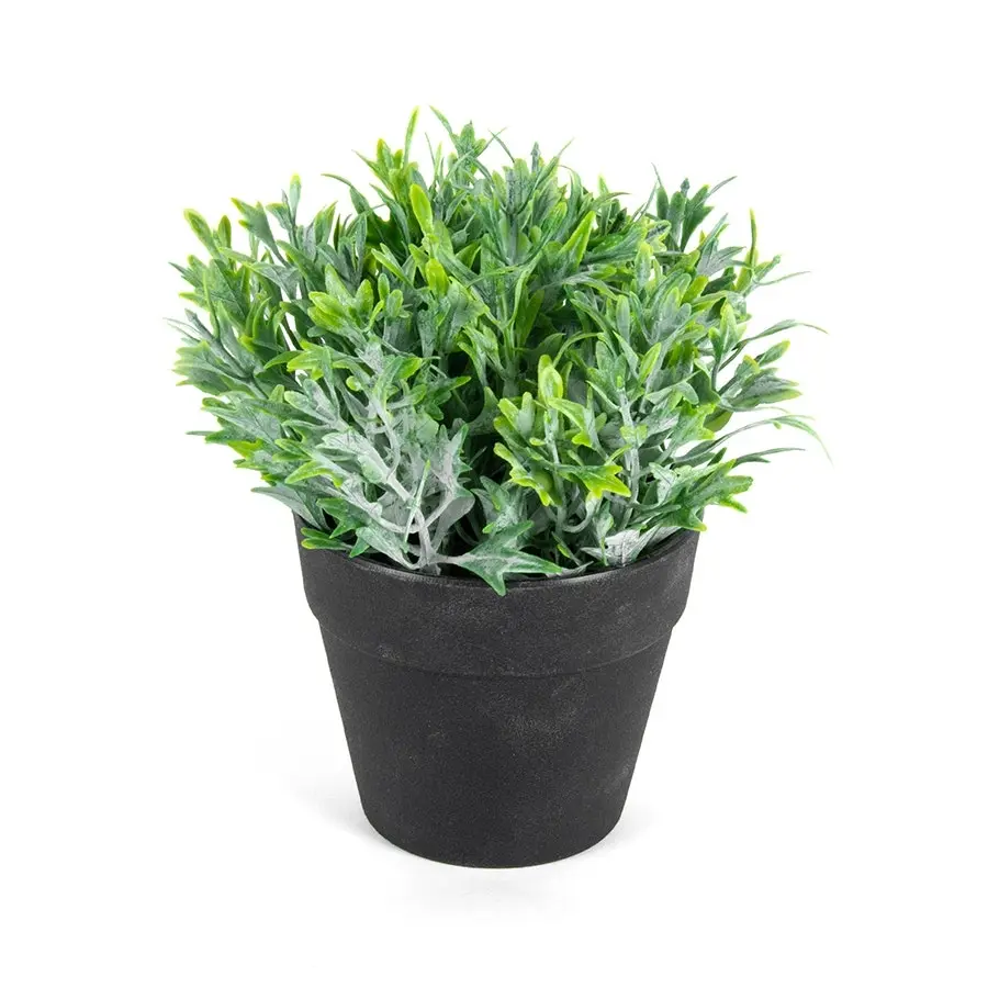 Willow & Silk Artificial/Faux 17cm Green Fing Plant in Pot/Home Decor