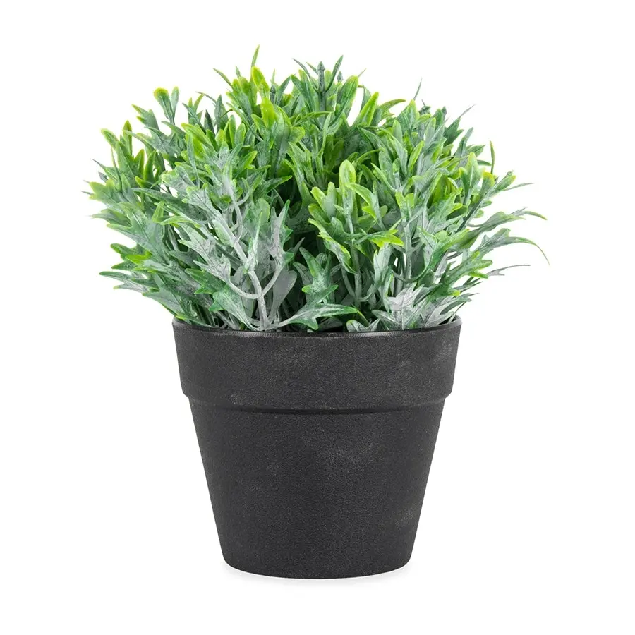 Willow & Silk Artificial/Faux 17cm Green Fing Plant in Pot/Home Decor