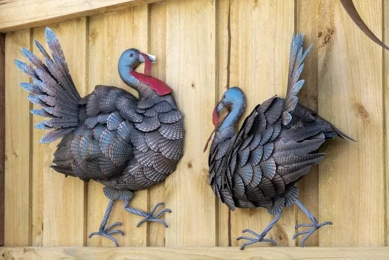 Willow & Silk Hanging Metal 61x42cm Mr Turkey/Bird Wall Art