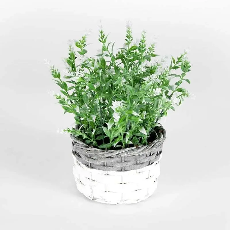 Willow & Silk Artificial 26cm White-Stem Flower in Basket Plant