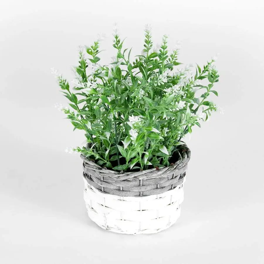 Willow & Silk Artificial 26cm White-Stem Flower in Basket Plant