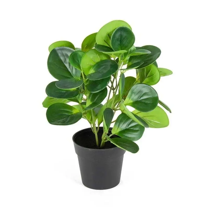 Willow & Silk Artificial/Faux 31cm Coin Leaf Peperomia Plant w/Pot