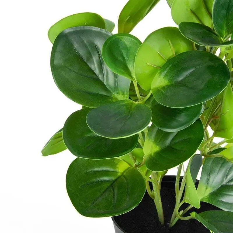 Willow & Silk Artificial/Faux 31cm Coin Leaf Peperomia Plant w/Pot