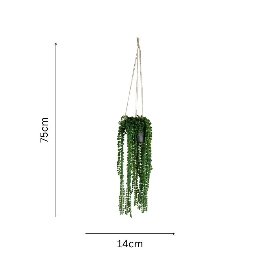 Willow & Silk Artificial 75cm Coin Leaf Peperomia Hanging Plant