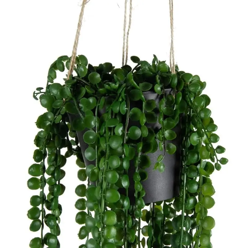 Willow & Silk Artificial 75cm Coin Leaf Peperomia Hanging Plant