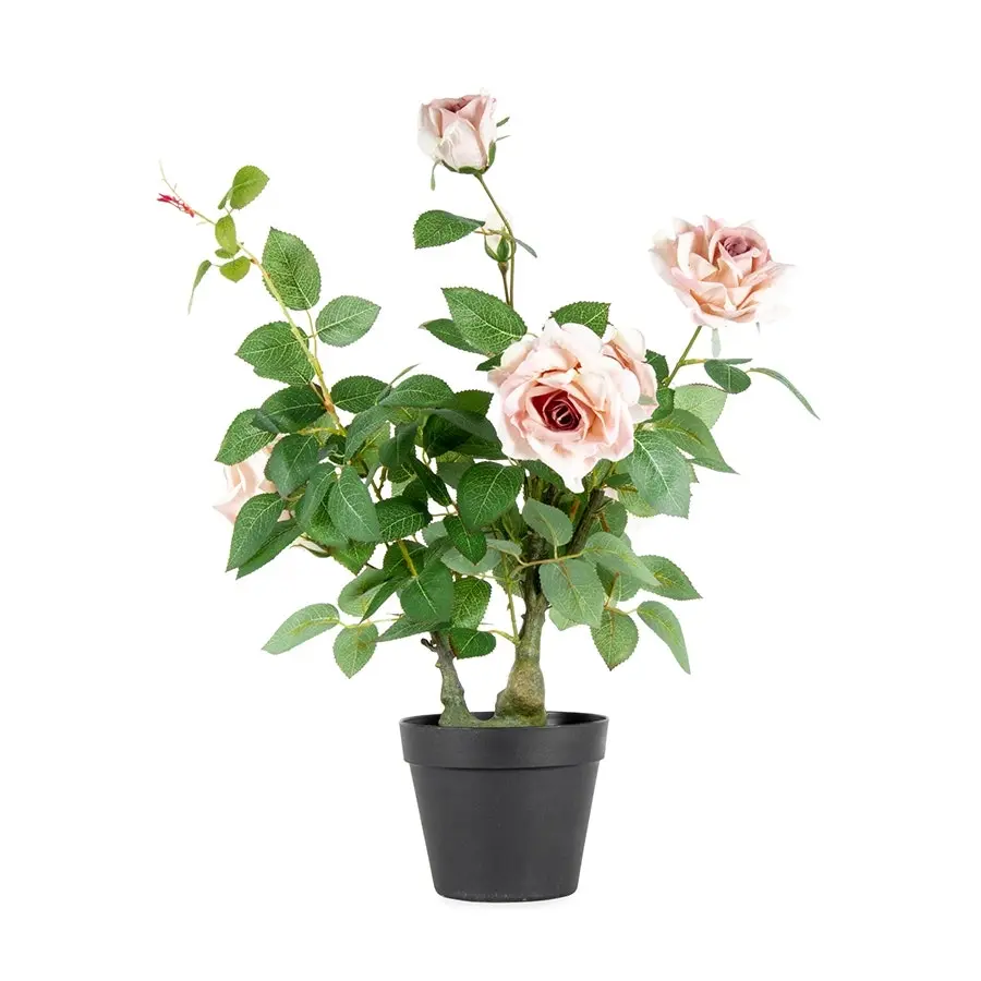 Willow & Silk Artificial/Faux 65cm Lagerfield Rose Plant in Pot