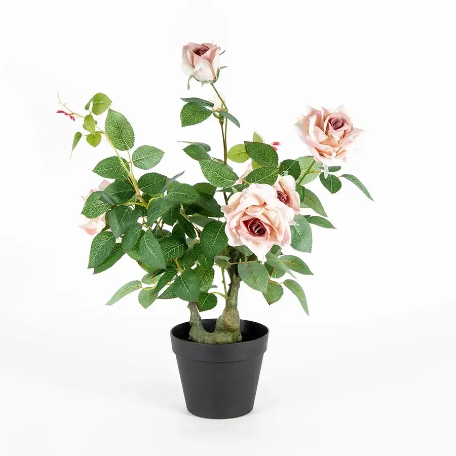 Willow & Silk Artificial/Faux 65cm Lagerfield Rose Plant in Pot