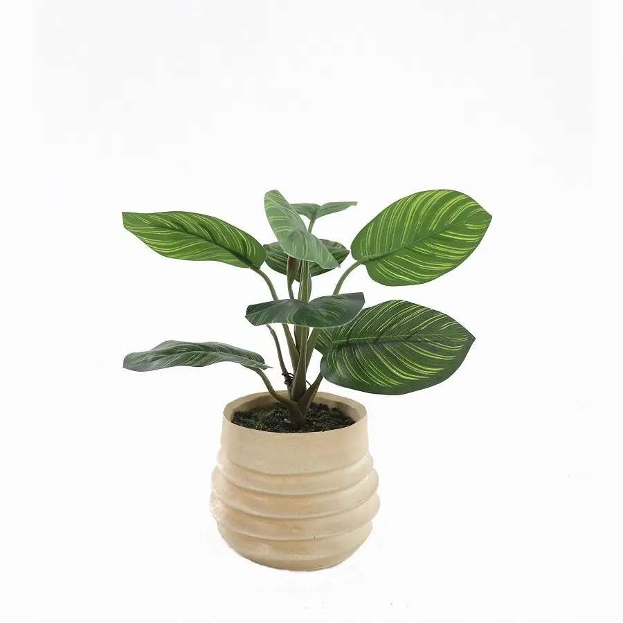 Willow & Silk Artificial 34cm Green Arrowroot Plant in Ceramic Pot