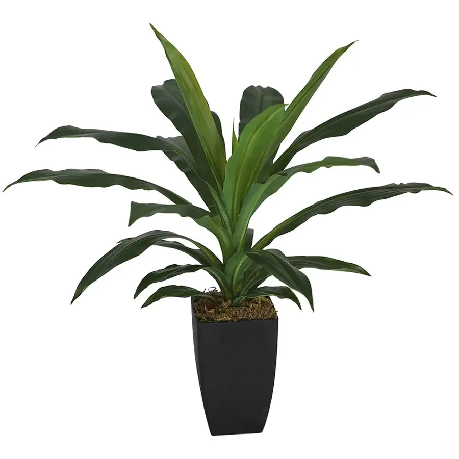 Willow & Silk Artificial 58cm Green Dracaena Janet Craig w/ Pot