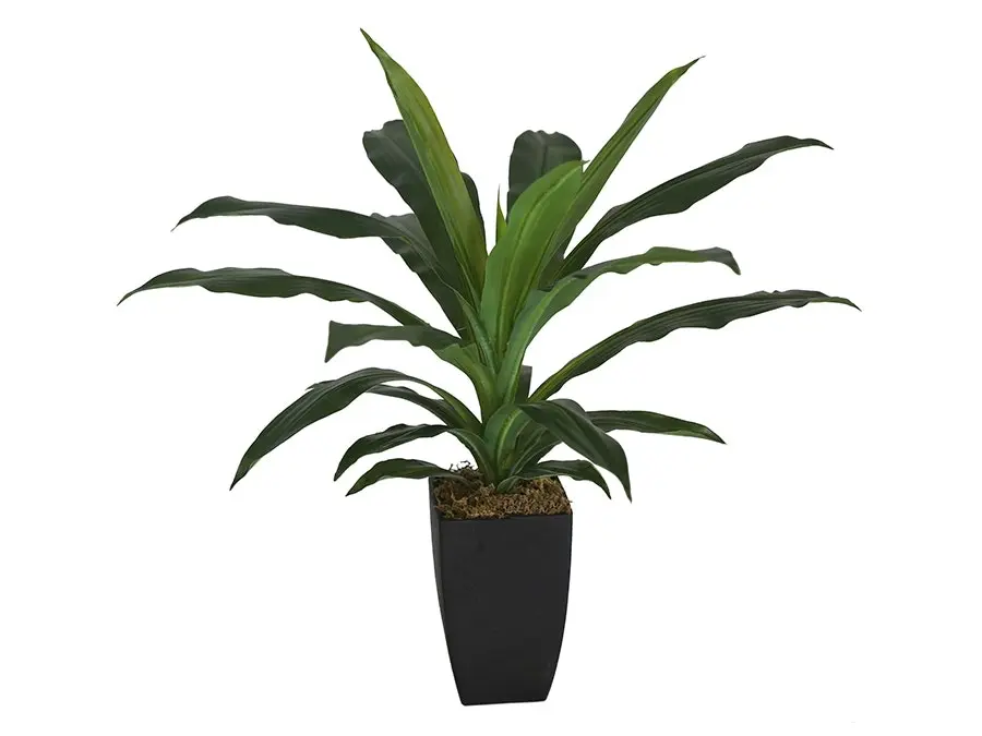 Willow & Silk Artificial 58cm Green Dracaena Janet Craig w/ Pot