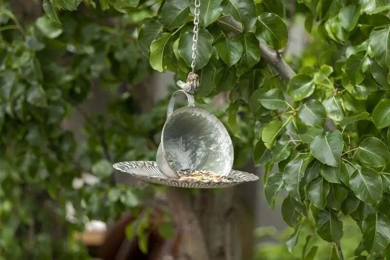 Willow & Silk 57cm Cup & Saucer Hanging Garden Bird Feeder