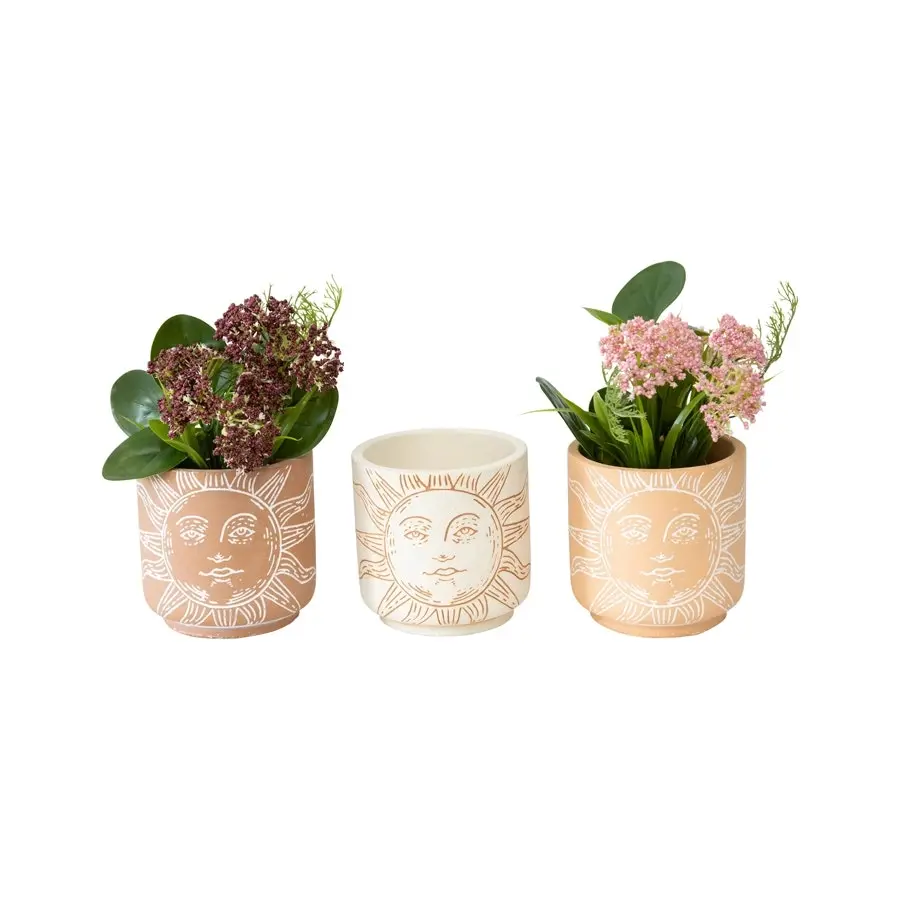 Willow & Silk Cement 11cm Set of 3 Sunfaces Garden Pot/Planters