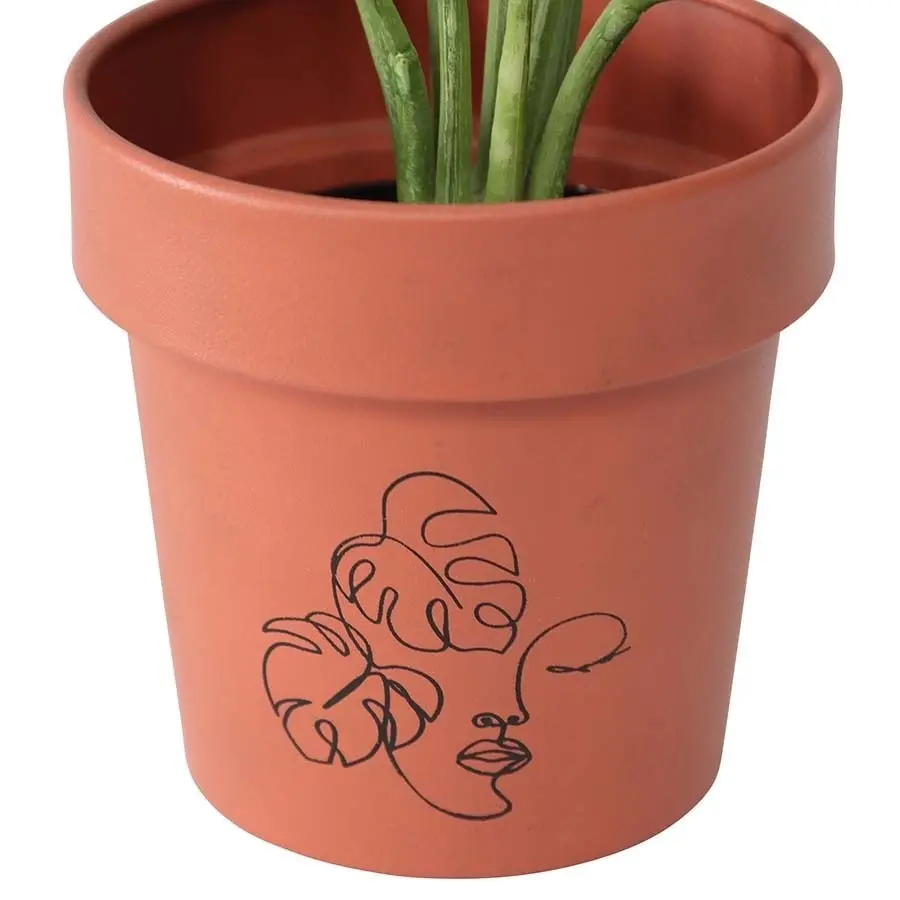 Willow & Silk Line Face Art Pots 13cm Metal Set of 2 Terracotta Planters