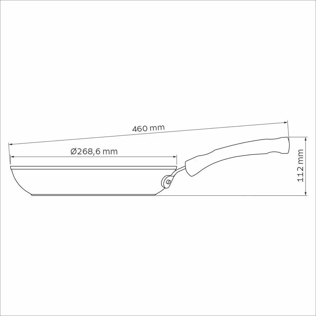 Tramontina Professional Frying Pan, 26cm