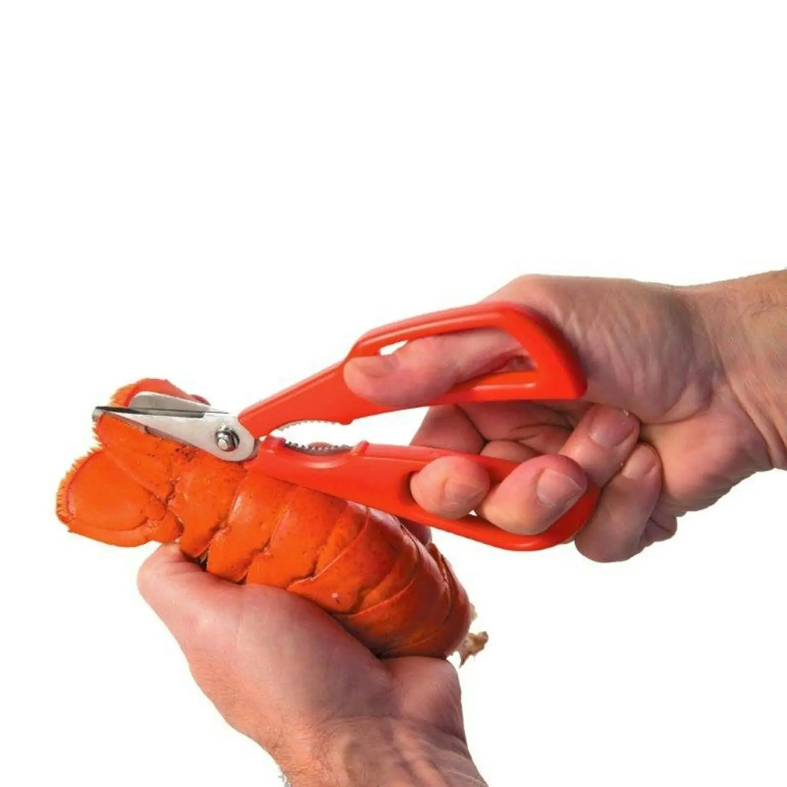 EDGE DESIGN Seafood Shears