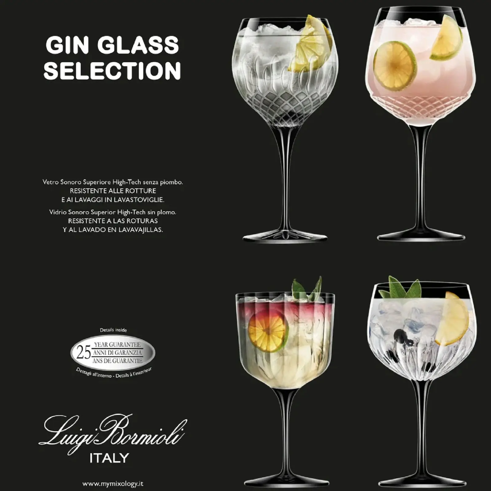 Luigi Bormioli Gin Glass Selection   Set 4