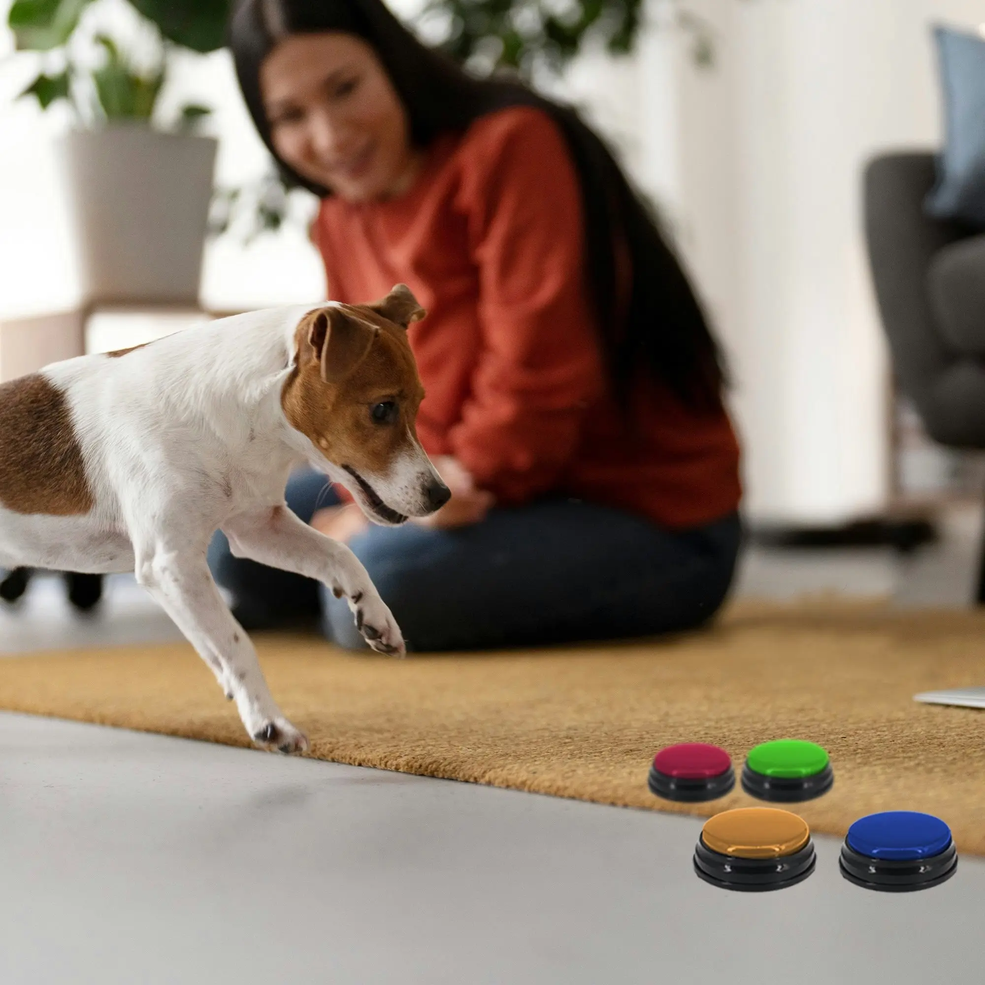 Interactive Talking Buttons for Pets - Tech4Pets