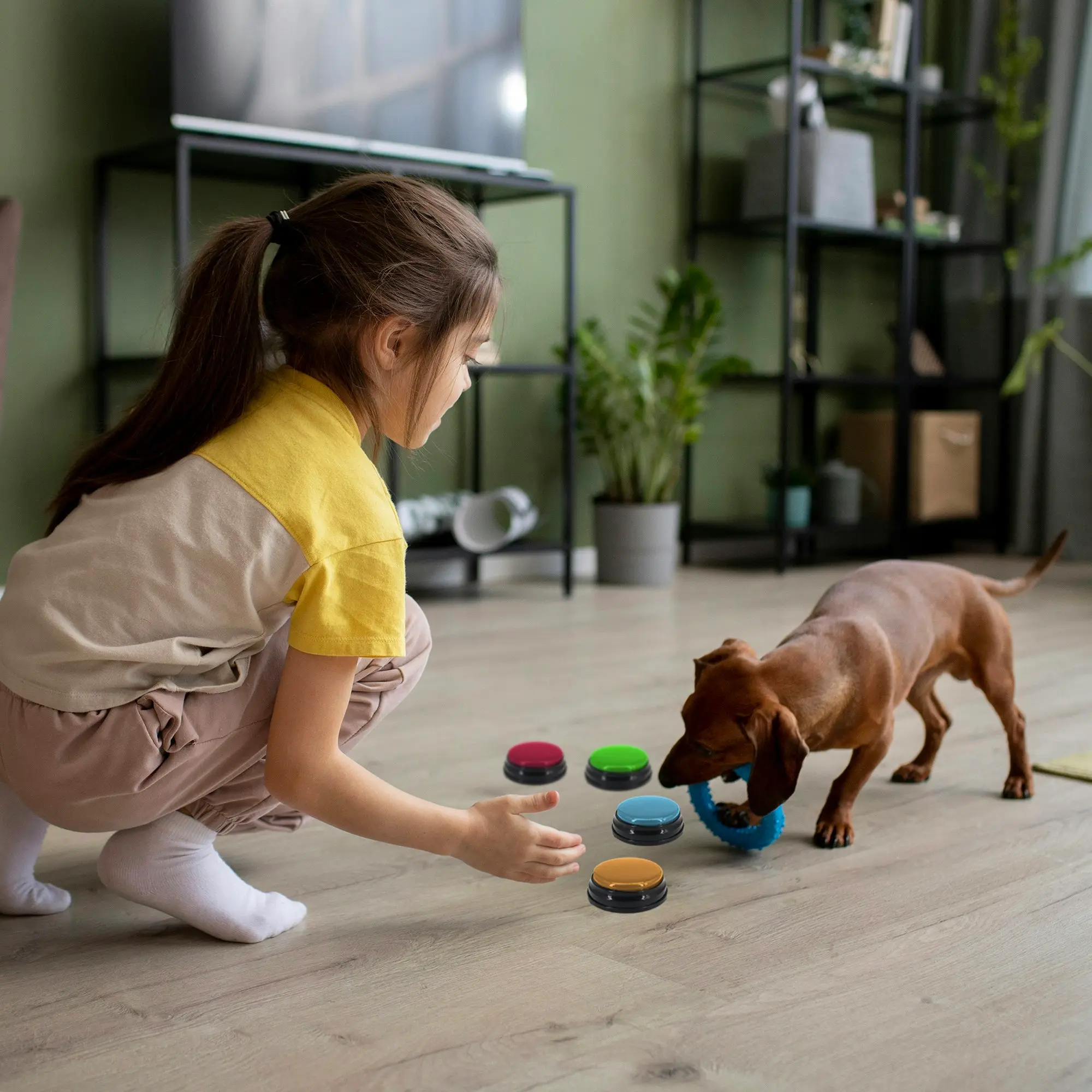 Interactive Talking Buttons for Pets - Tech4Pets