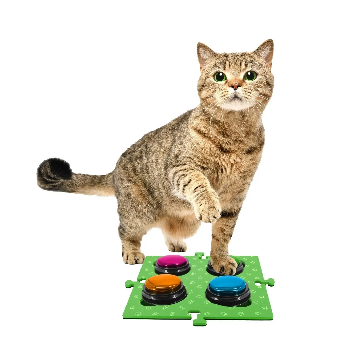 Tech4Pets Green 2-Pack Talking Button Mat - Floor Protection