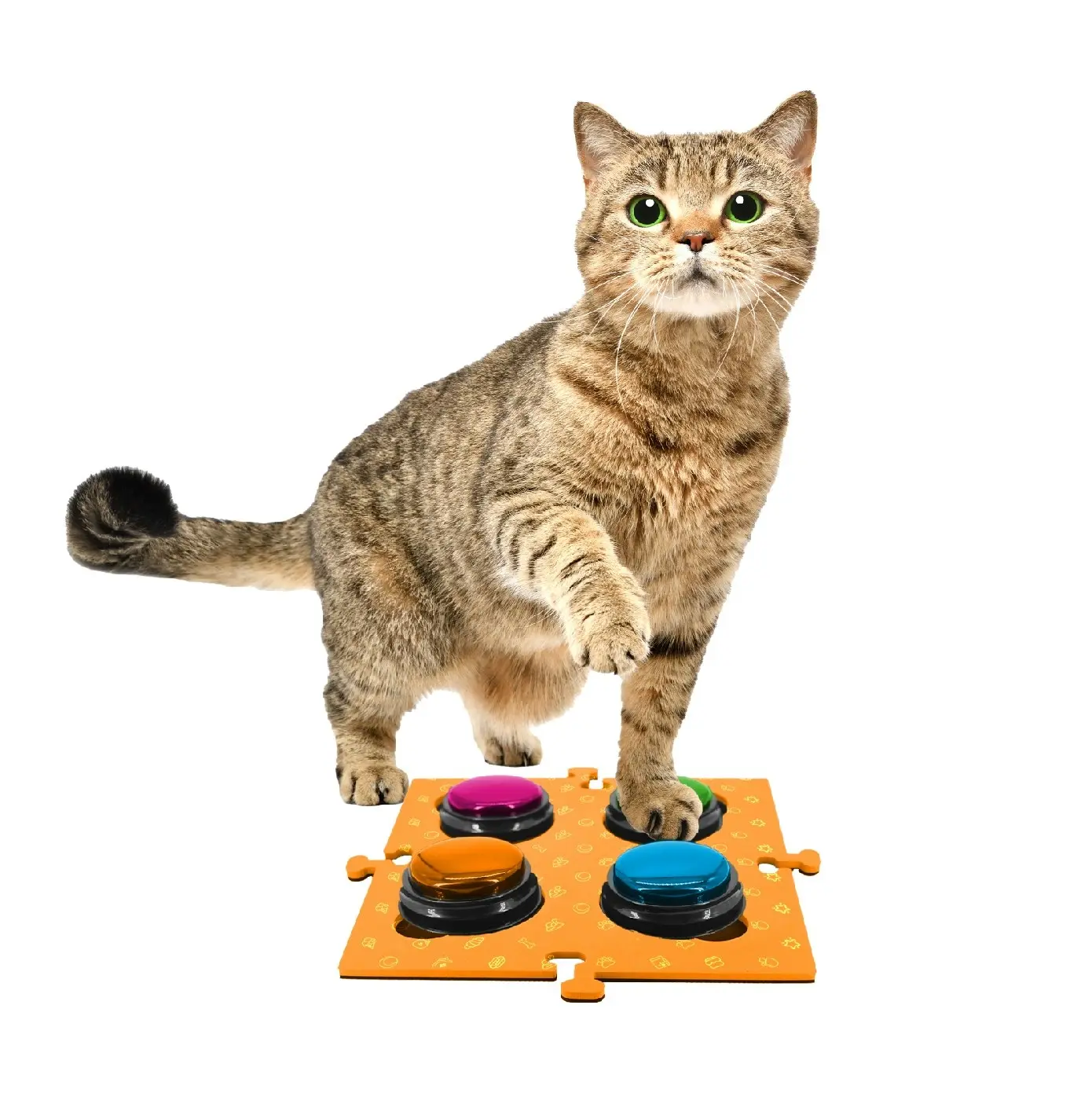 Tech4Pets Orange 2-Pack Talking Button Mat - Floor Protection