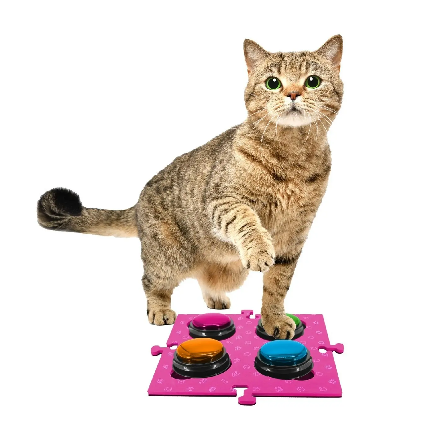 Tech4Pets Pink 2-Pack Talking Button Mat - Floor Protection