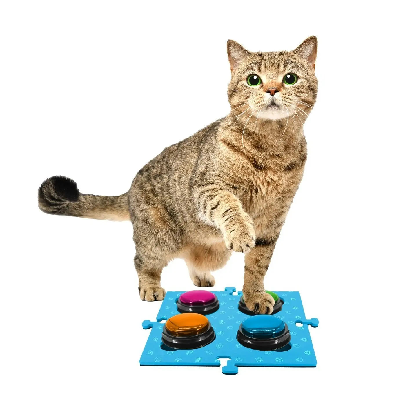 Tech4Pets Blue 2-Pack Talking Button Mat - Floor Protection