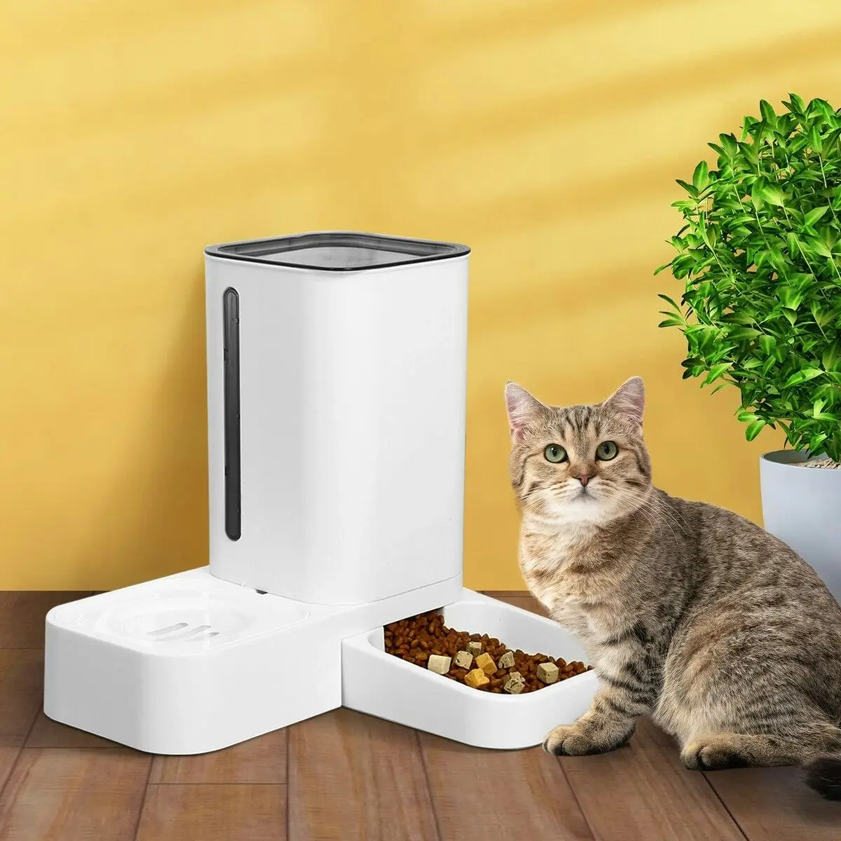 Pet Scene Automatic Cat Feeder 1.5L Water Dispenser 2L Food Bowl Auto Pet Feeding Gravity Fed for Small Medium Large Pets 2 In 1 Petscene