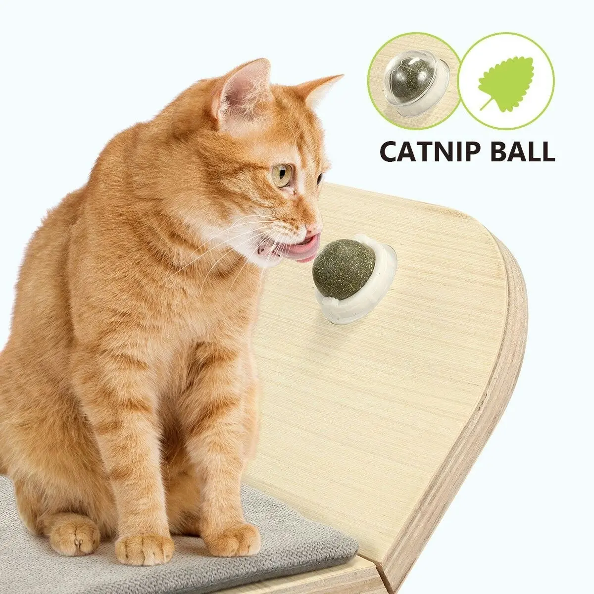 AFP  Wood Cat Wall Mounted Bed Climbing Shelf Scratcher Soft Mat Pad Climber Catnip Ball Pet Furniture