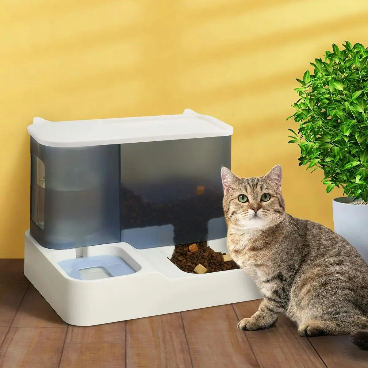 Pet Scene 2 In 1 Auto Cat Feeder Kit Gravity 3L Dog Food Bowl Pet Water Dispenser Automatic Feeding for Small Medium Large Pets Petscene